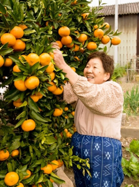 Akeda-san(Han-chan)