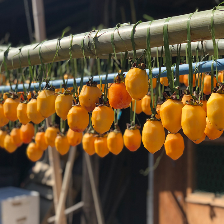 柿 [Persimmon]