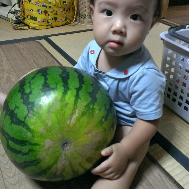 スイカ[Watermelon]