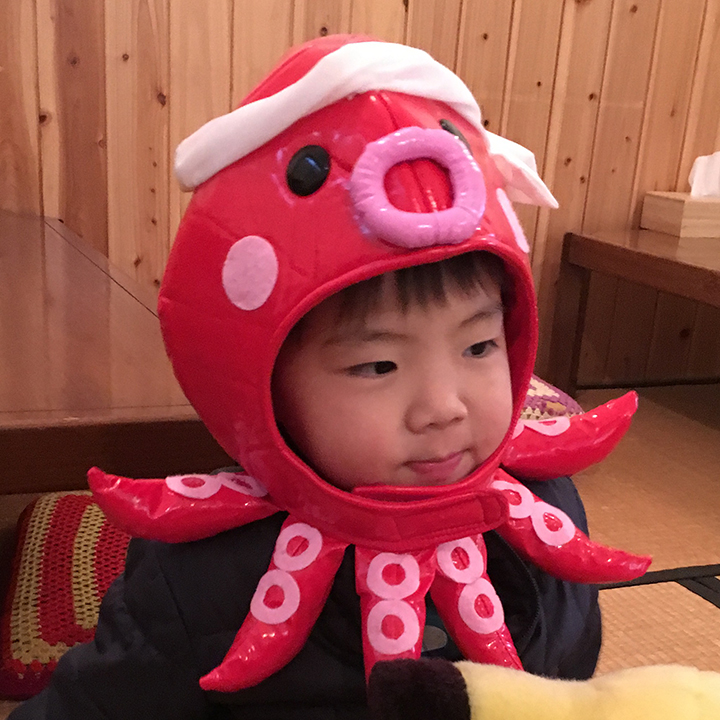 タコ [Octopus]
