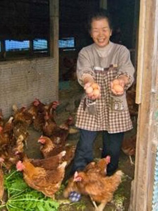 Yamane-san